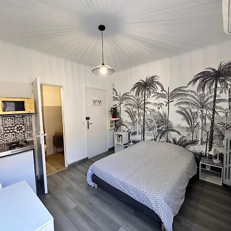 Studios Climatises Proche Mer Nizza Exterior foto